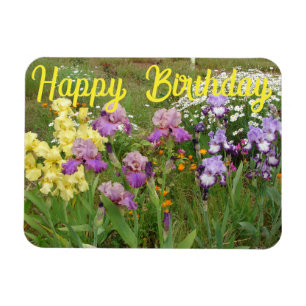 Iris irises blommigt Flowers Cottage Garden Birthd Magnet