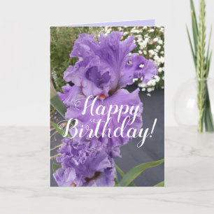 Iris Irises Lila Flower Blommigt Birday Card Kort