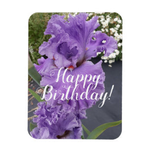 Iris Irises Lila Flower Blommigt Birday Card Magnet