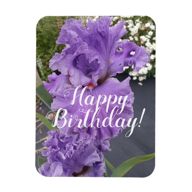 Iris Irises Lila Flower Blommigt Birday Card Magnet (Vertikal)