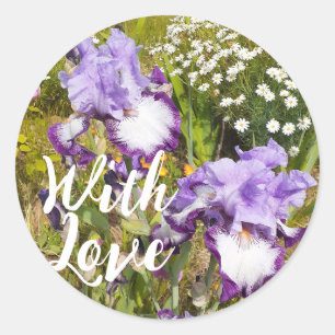 Iris Irises Lila Flower Blommigt Lavender Kärlek Runt Klistermärke