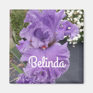 Iris Irises Lila Flower Blommigt Lavender Magnet