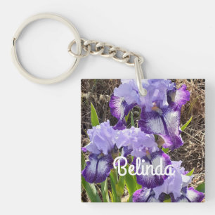 Iris Irises Lila Flower Blommigt Womans Namn