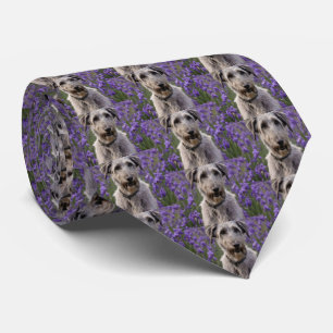 Iris Irish Wolfhound Slips