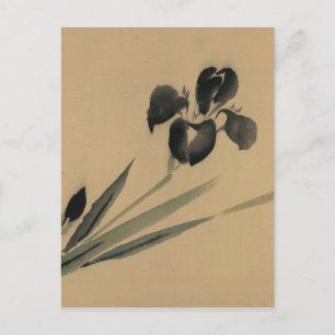 Iris Japanska Ukiyo-e Art Vykort