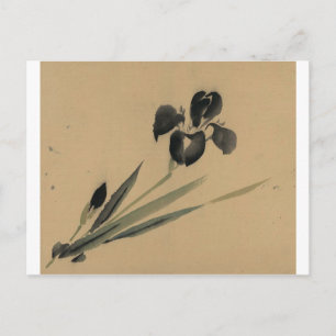 Iris Japanska Ukiyo-e Art Vykort