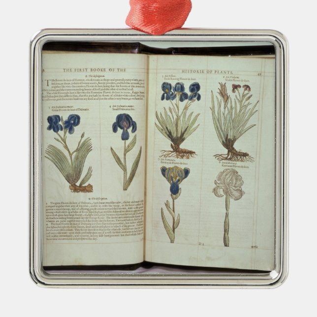 Iris Julgransprydnad Metall (Framsidan)