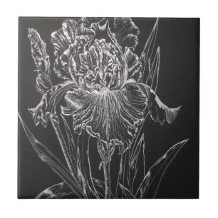 Iris Kakelplatta