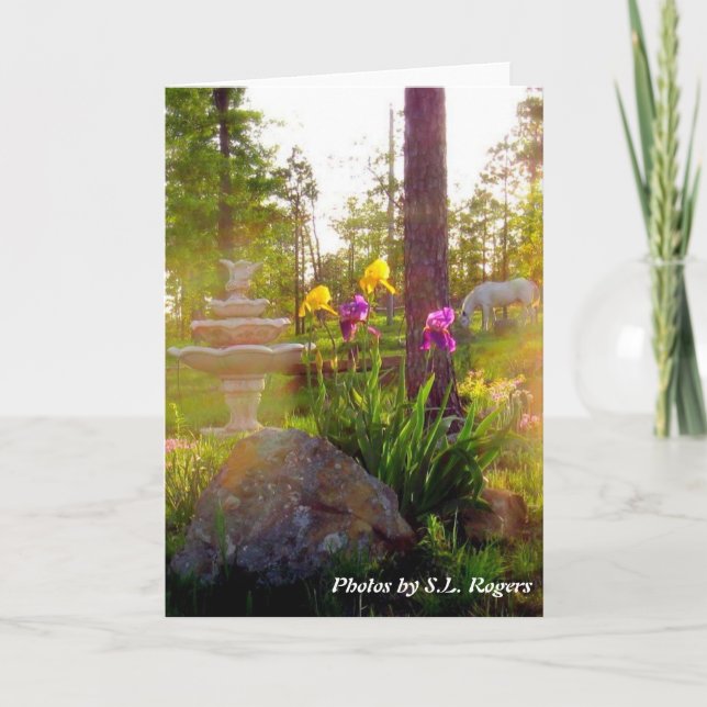 Iris Kort (Framsida)