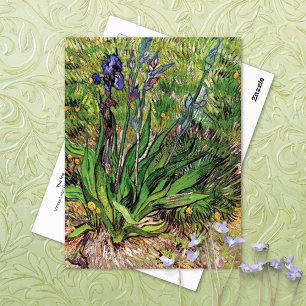 Iris Ligcape Vincent van Gogh Vykort