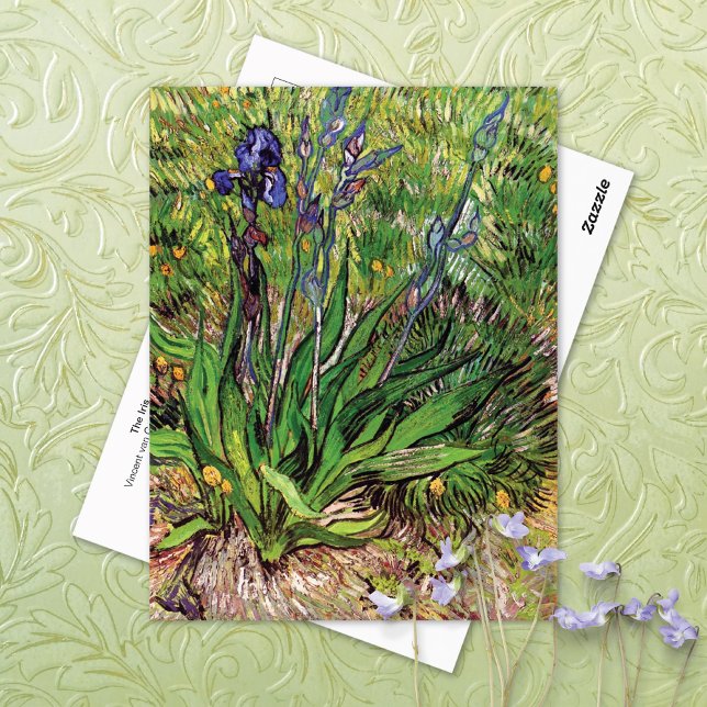 Iris Ligcape Vincent van Gogh Vykort (Skapare uppladdad)