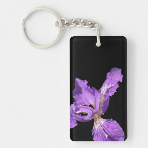 Iris Lila