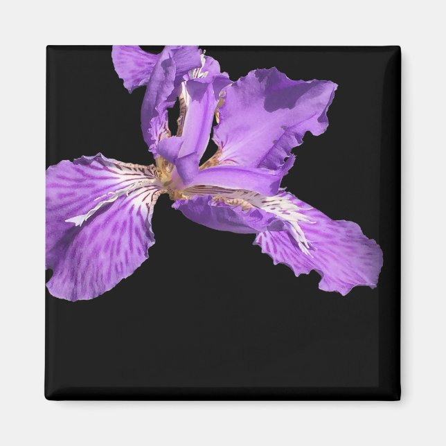 Iris Lila Magnet (Framsidan)