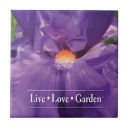 Iris Live Kärlek Garden 4,25-tums keramiskt fotolt Kakelplatta