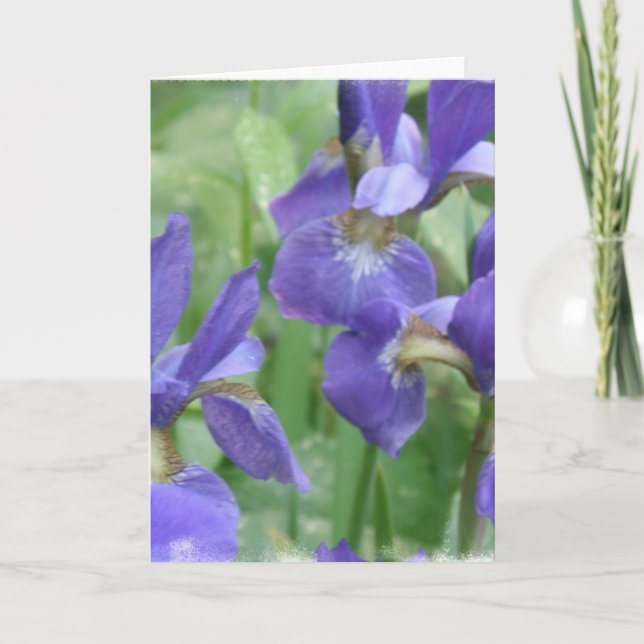 Iris Lökar Greeting Card Kort (Framsida)
