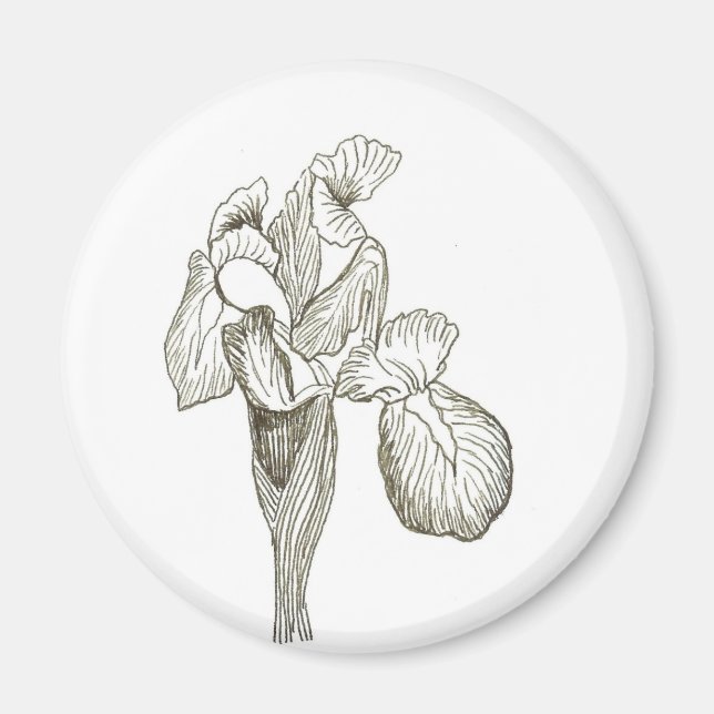 Iris Magnet (Framsidan)