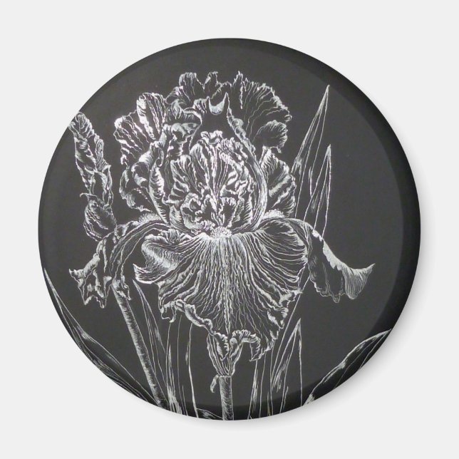 Iris Magnet (Framsidan)