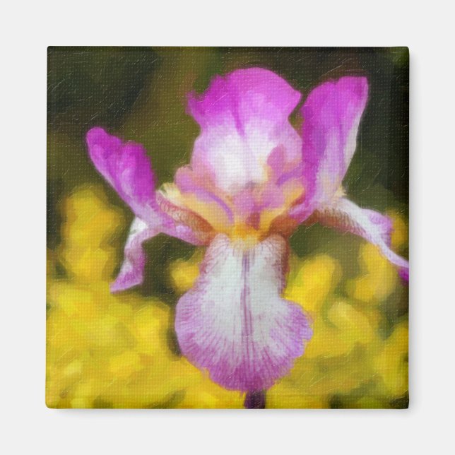 Iris Magnet (Framsidan)