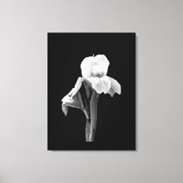 'Iris med regndroppar' lindad canvastryck