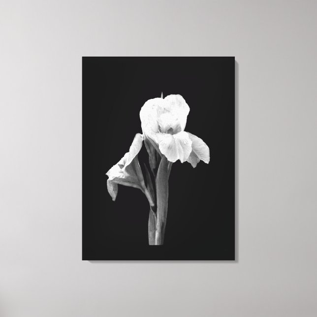 'Iris med regndroppar' lindad canvastryck (Framsida)