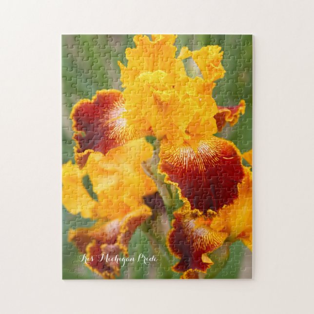 Iris "Michigan Pride" [Jigszawapussel: 252P] ジ グ ソ Pussel (Vertikal)