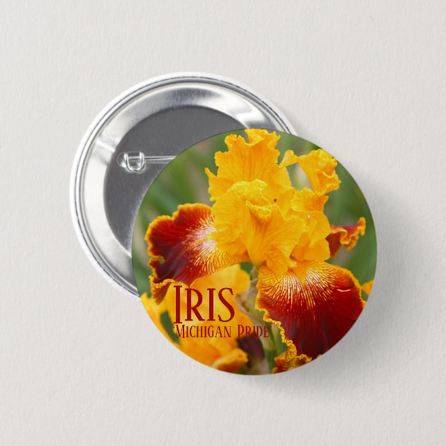 Iris 'Michigan Pride' [Rund metallmärke] Knapp (Framsida & baksida)