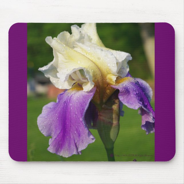 Iris Mousepad Musmatta (Framsidan)