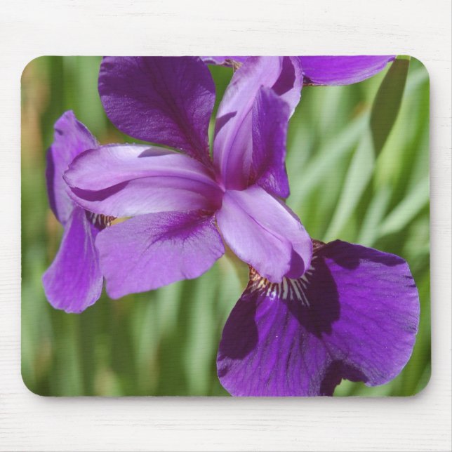 Iris Mousepad Musmatta (Framsidan)
