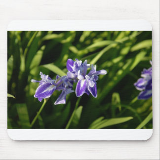 Iris Mousepad Musmatta