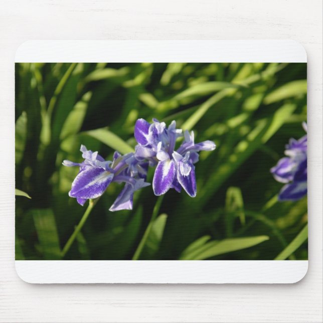 Iris Mousepad Musmatta (Framsidan)