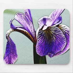 Iris Musmatta