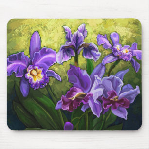 Iris Musmatta