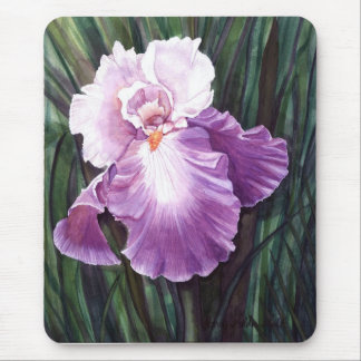 Iris Musmatta