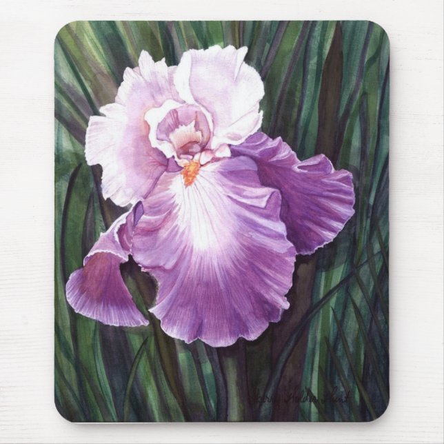 Iris Musmatta (Framsidan)