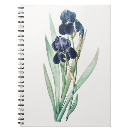 Iris Notebook Anteckningsbok