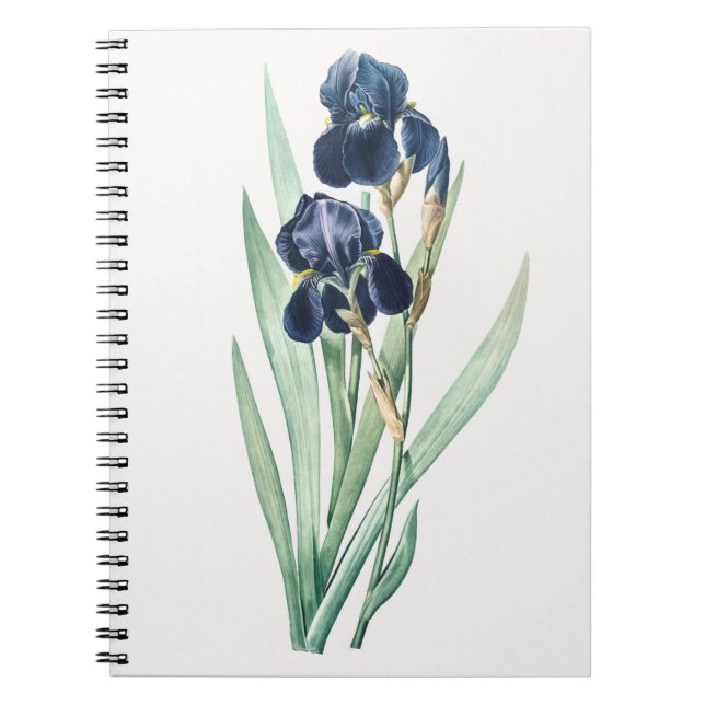 Iris Notebook Anteckningsbok (Framsidan)