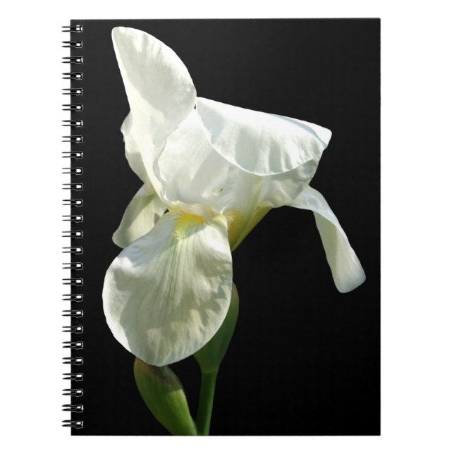 Iris Notebook Anteckningsbok Med Spiral (Framsidan)