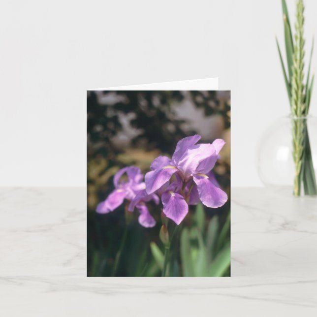 Iris Notecard Kort (Framsida)