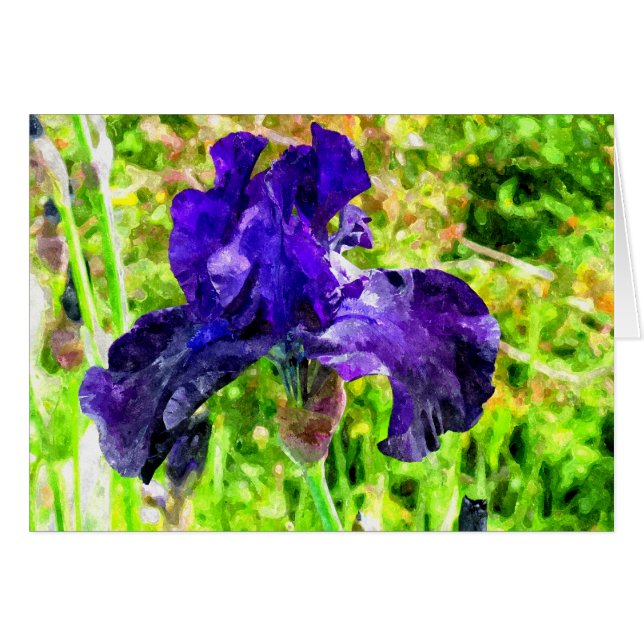 Iris OBS Kort (Framsidan Horizontal)