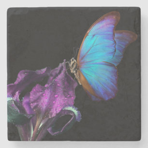 Iris och Butterfly Stenunderlägg