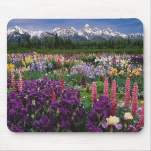 Iris och Lupin trädgård och Teton Range, Musmatta