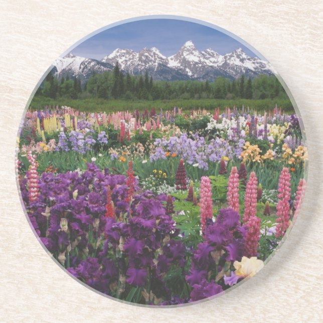 Iris och Lupin trädgård och Teton Range, Underlägg Sandsten (Framsidan)