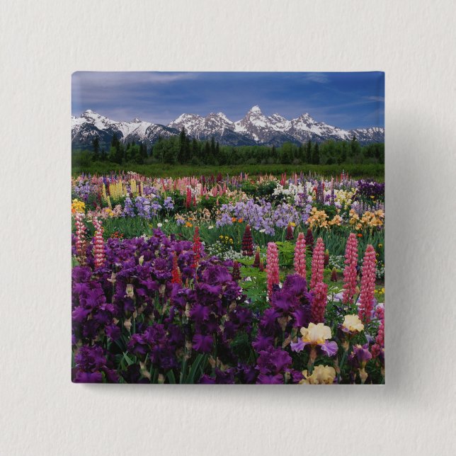 Iris och Lupine trädgård och Teton Range, Knapp (Framsida)
