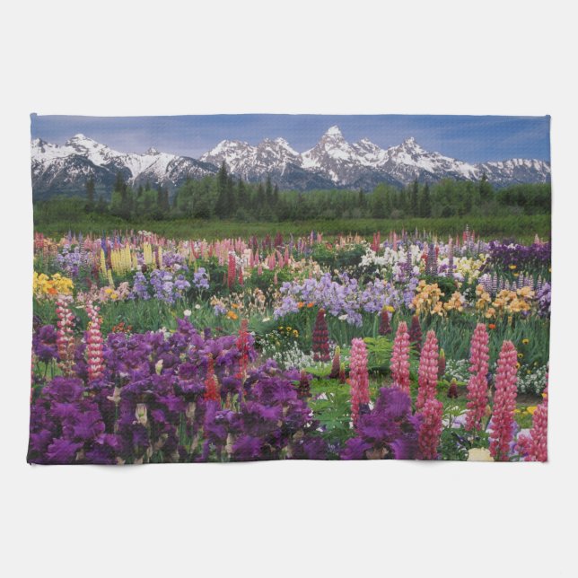 Iris och Lupine trädgård och Teton Range, Kökshandduk (Horisontell)