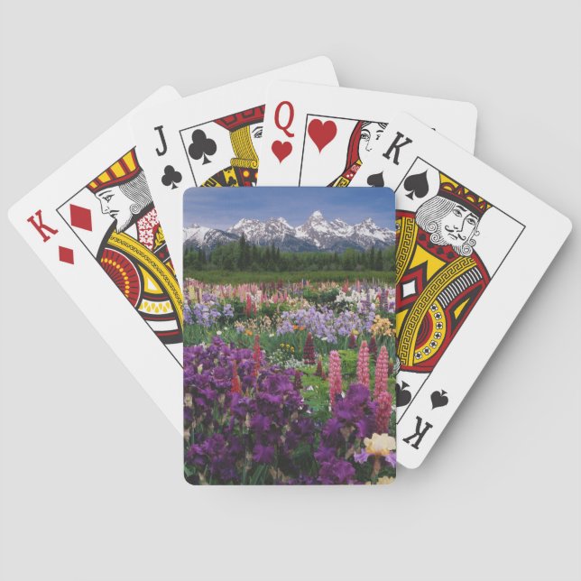 Iris och Lupine trädgård och Teton Range, Spel Kort (Baksidan)