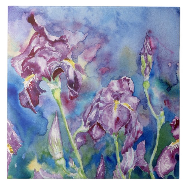 Iris-plattan för keramiskt innehåll kakelplatta (Framsidan)