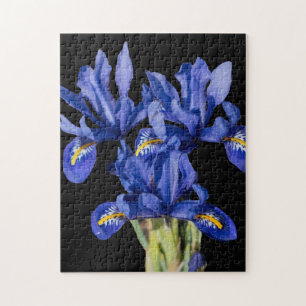 Iris Puzzle Pussel