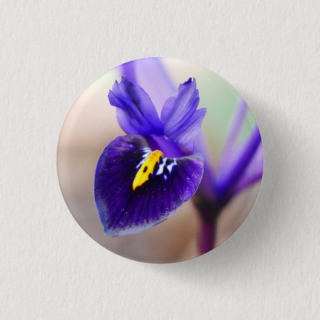 Iris Reticulata Flower Badge Knapp (Framsida)