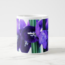 Iris Reticulata Jumbo Mugg