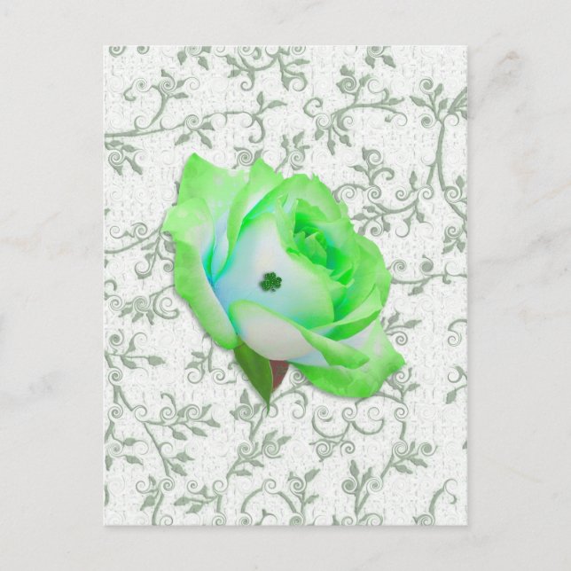 Iris Ro och Shamrock! Vykort (Framsida)